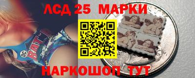 СК Кингисепп