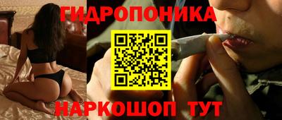мескалин Камышлов