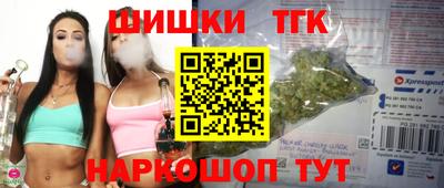 СК Кингисепп