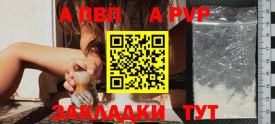 СК Кингисепп