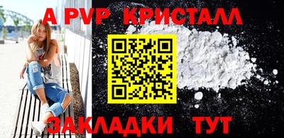 СК Кингисепп