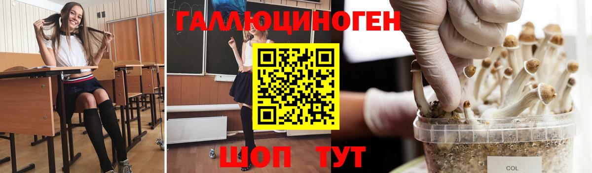 Псилоцибиновые грибы Psilocybe  Вход с VPN  Качканар 